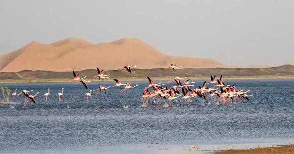Lac Dayet Srij Merzouga Morocco