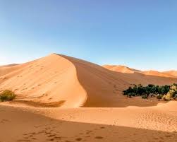 Obira Oasis Merzouga: An Authentic Sahara Desert Experience