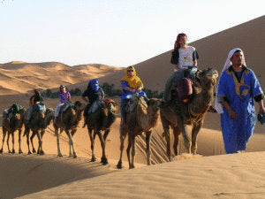 Best Camel Trekking Desert Tours in Morocco