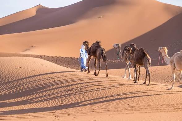 Tours Around Merzouga, Morocco