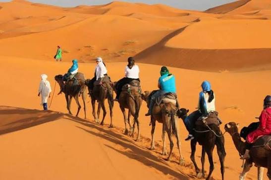 Merzouga Tourist Attractions: Discover the Best Places