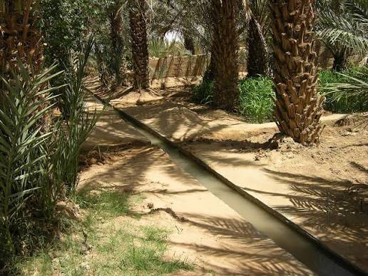 Visit an Oasis Irrigation Water System in Merzouga, Morocco