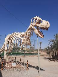 Fossil Visit in Erfoud, Morocco A Fascinating Day Trip from Merzouga