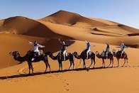 Morocco Sahara Desert Camel Trekking Tours