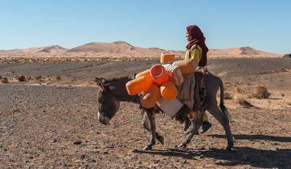Book the Most Popular Desert Tours in Merzouga