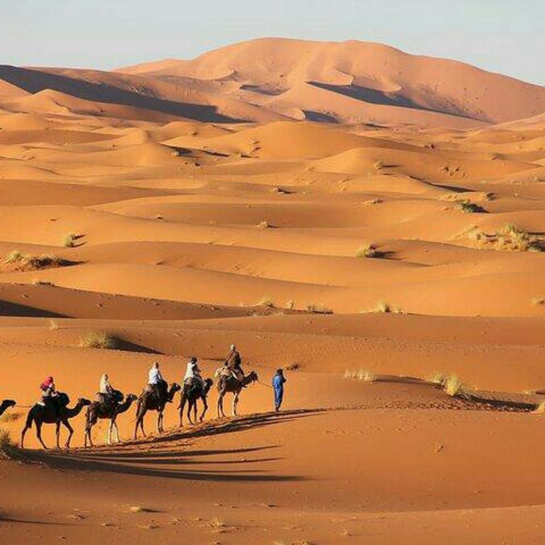 Merzouga Camel Ride Price Everything You Need to Know