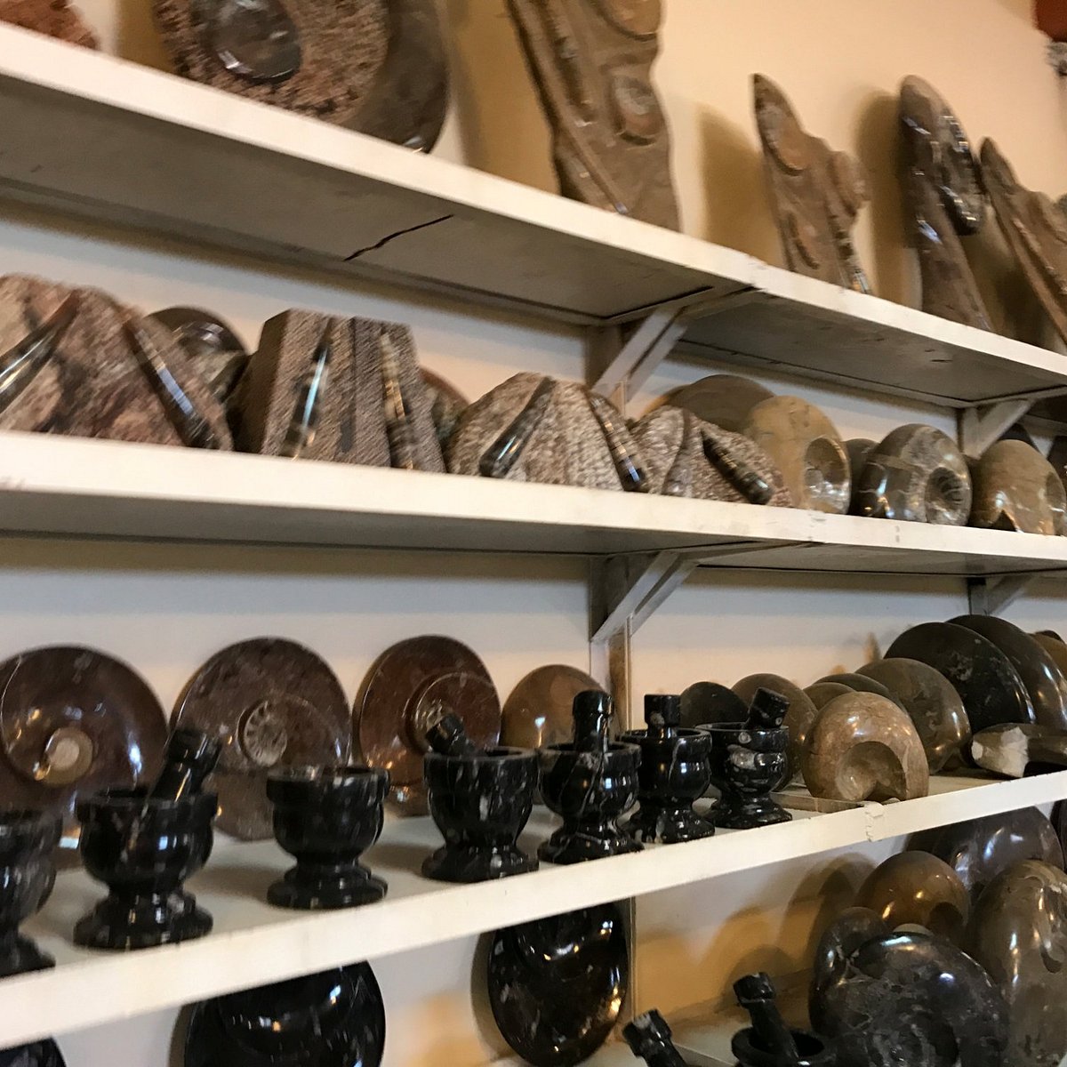 Fossil Workshops in Rissani Morocco Discover the Art of the Sahara