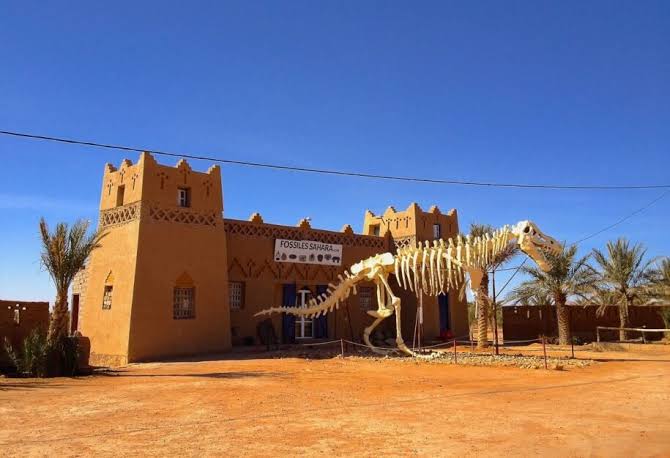 Tour Guide from Erfoud to Merzouga