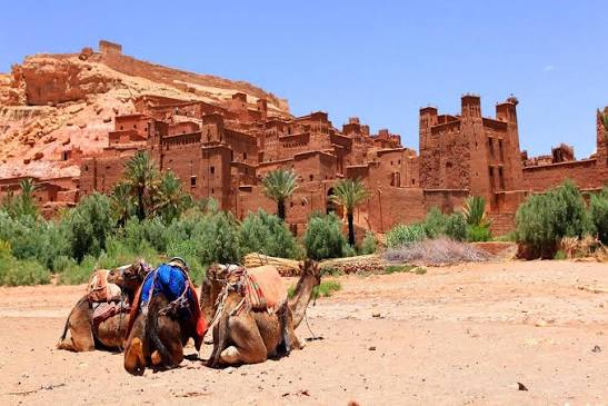 Adventure to the Sahara Desert The Best Tips for Merzouga Morocco