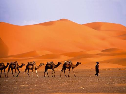 Visit the Merzouga Morocco Countryside Discover the Sahara