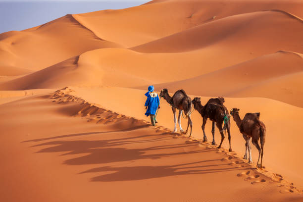 Merzouga Luxury desert camp contact information