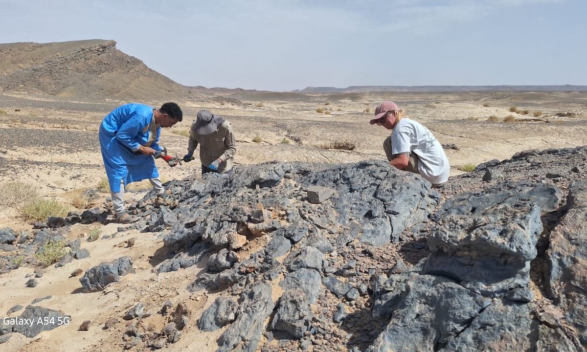 Where to Find Fossils in Morocco: A Guide to Morocco’s Ancient 