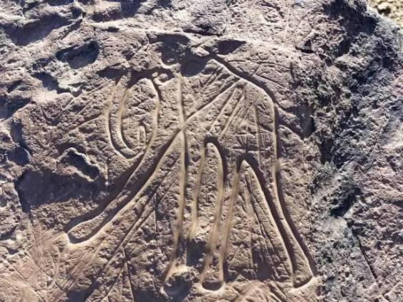 Merzouga Desert Rock Carvings Visit Discover Ancient Art in the Sahara
