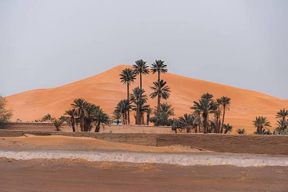 Where Is the Best Location to Stay in Merzouga, Morocco