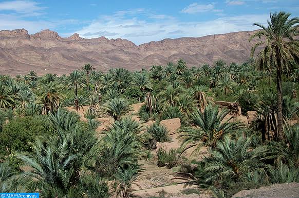 Tafilalet Oasis Visit from Merzouga A Fascinating Day Tour