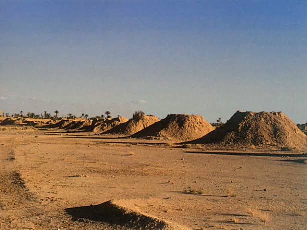 The Jorf Irrigation System in Morocco an Ancient Oasis Water Heritage