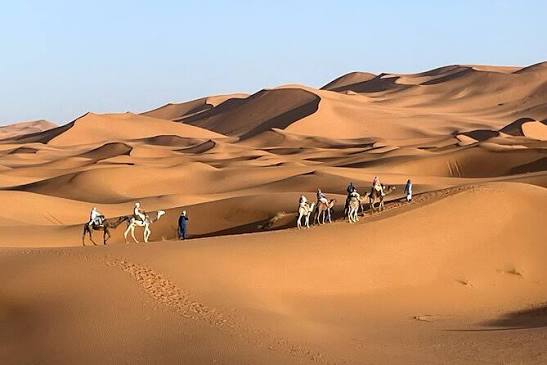Excursion Through the Stunning Merzouga Desert