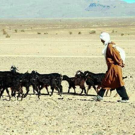 Stay Local in Merzouga, Morocco: Experience Authentic Berber Culture