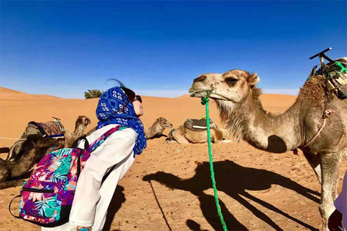 Fes Sahara Desert Tour Itinerary