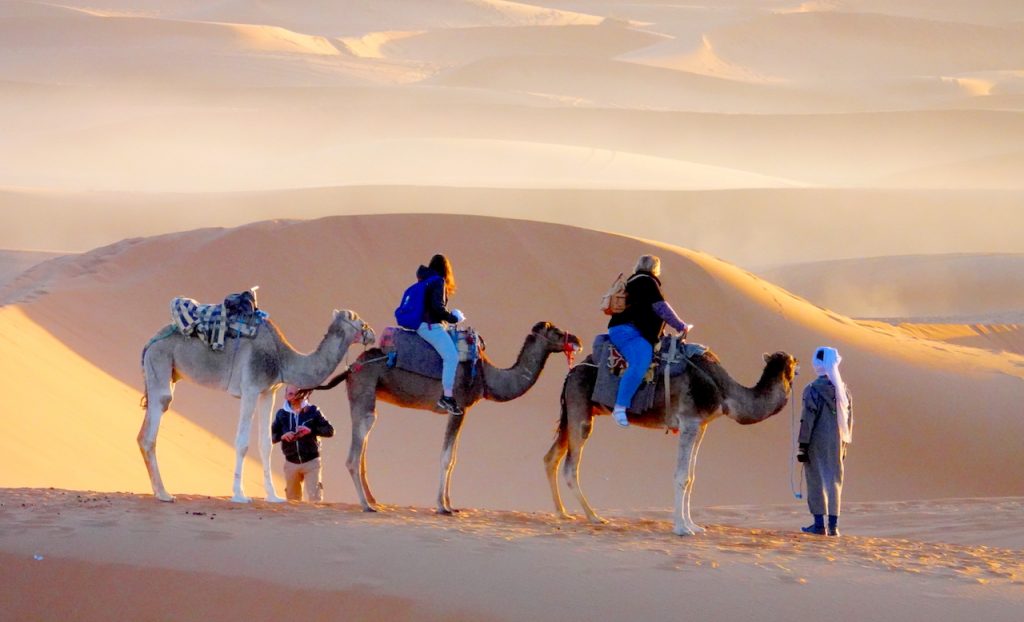 Merzouga Camel Trek Booking