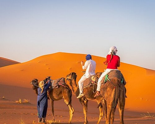 Merzouga tour company
