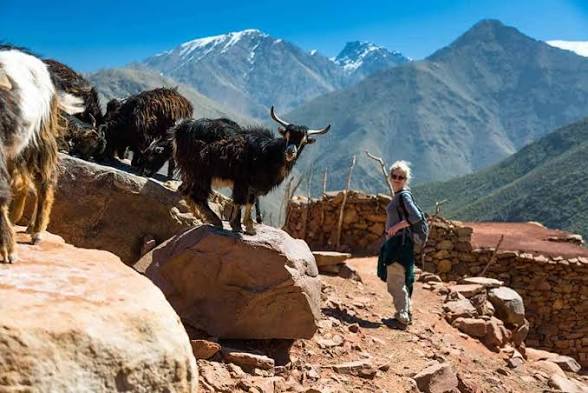 Atlas Mountains and Sahara Desert Tour