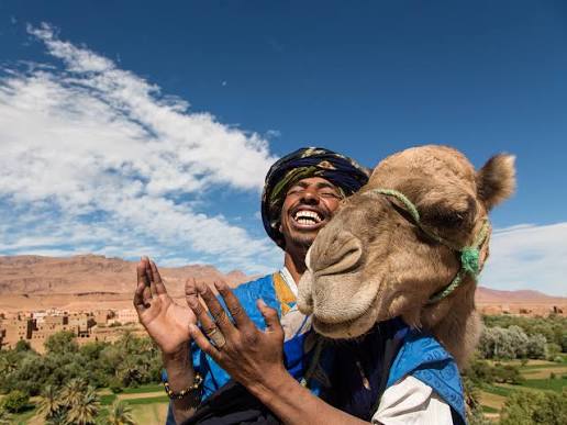 Local Morocco Tours 