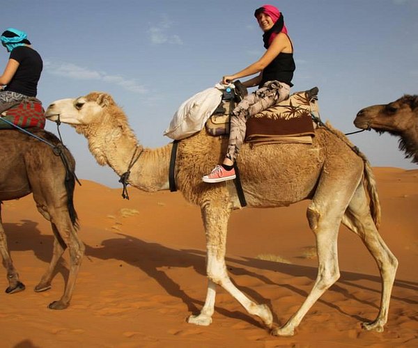 How Long Does Camel Trekking Take from Merzouga to a Desert Camp