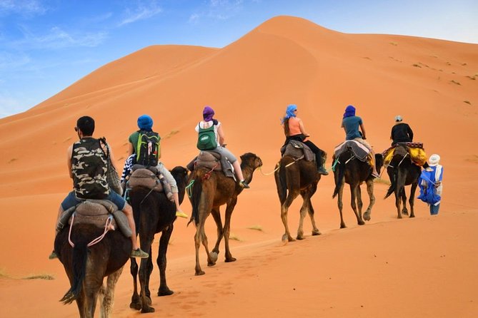 How Camel Trekking From Merzouga Works