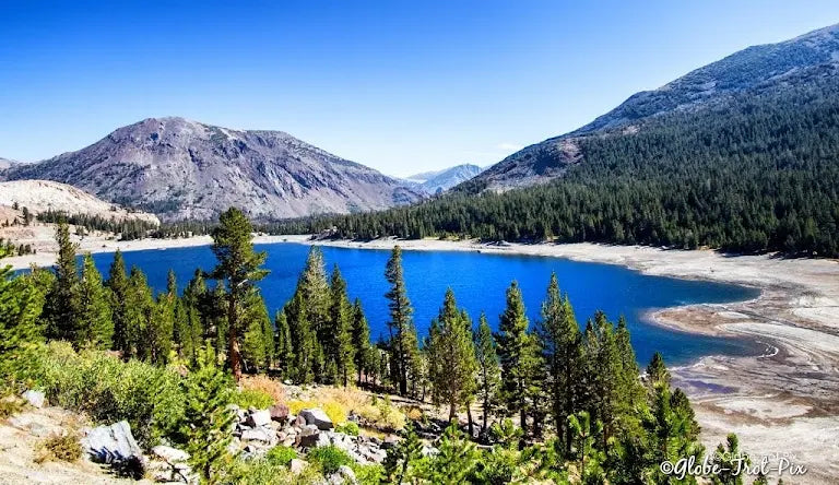 Discover the breathtaking beauty of Yosemite National Park