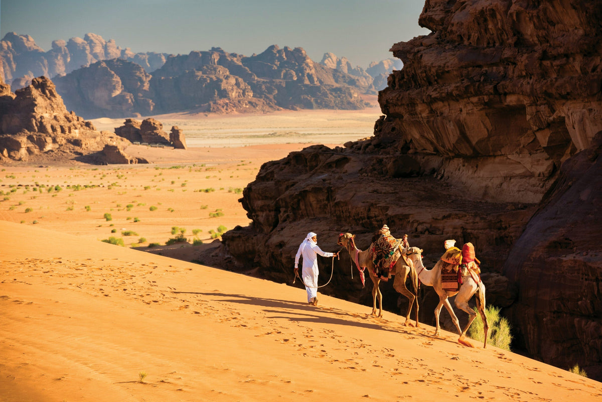Sahara Desert Jordan Local Guide Tour Booking