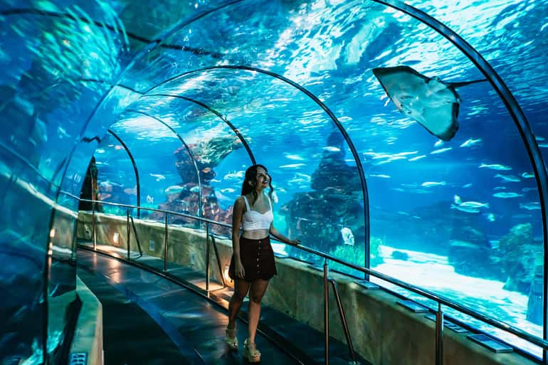 L'Aquàrium de Barcelona An Unforgettable Underwater Experience