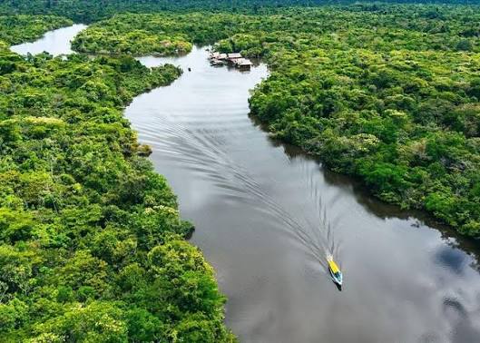 Amazon Rainforest Excursions and Trips