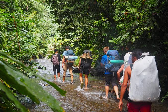 Plan Your Jungle Trekking Adventure in the Amazon