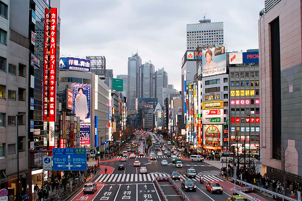 Best Things to Do in Tokyo, Japan