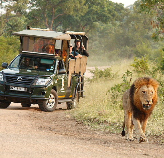 Kruger National Park Safari All Inclusive Packages