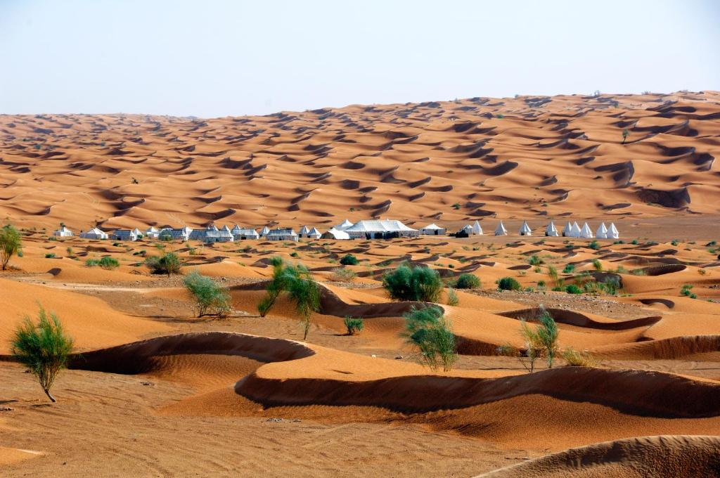 Experience a Sahara Desert Tour from Douz
