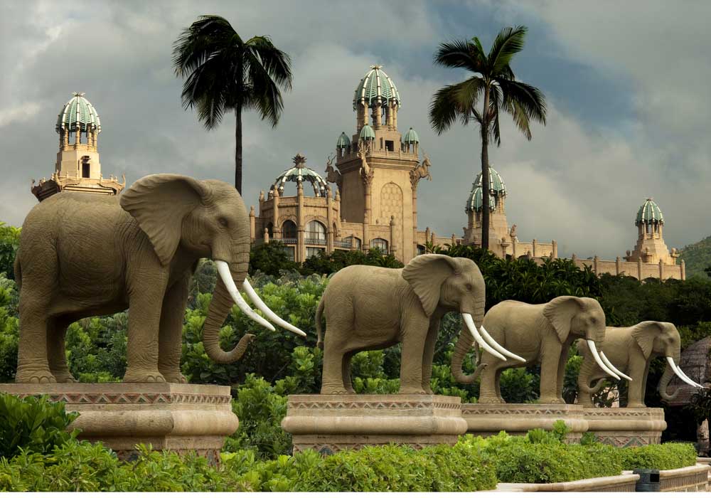 Explore top attractions wildlife in south africa 