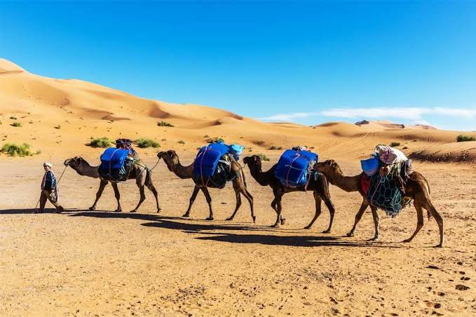 Top Places to Visit and Things to Do in Merzouga