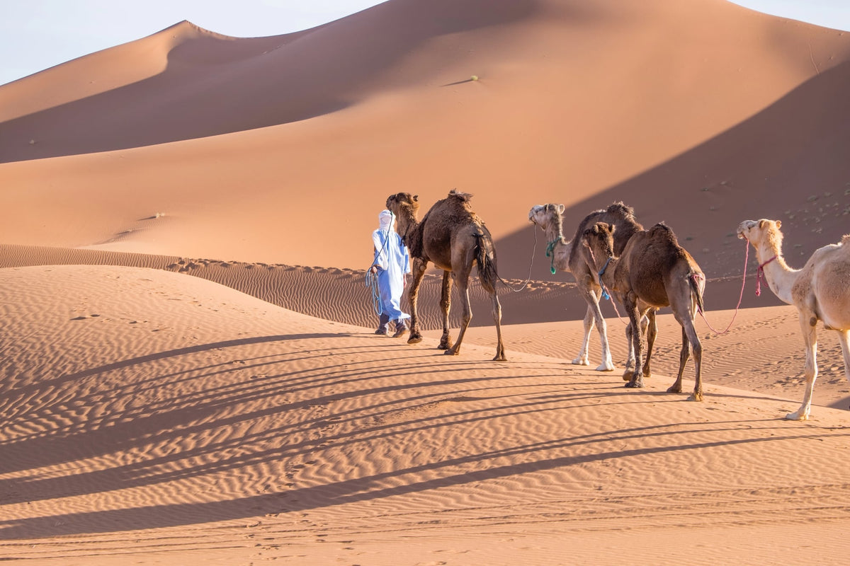 Luxury Camps and Camel Treks in the Merzouga