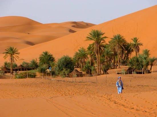 Overnight in the Oasis of Merzouga with Camel Trekking