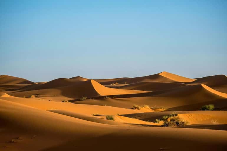 Merzouga Local Culture: Discover the Traditions of the Sahara