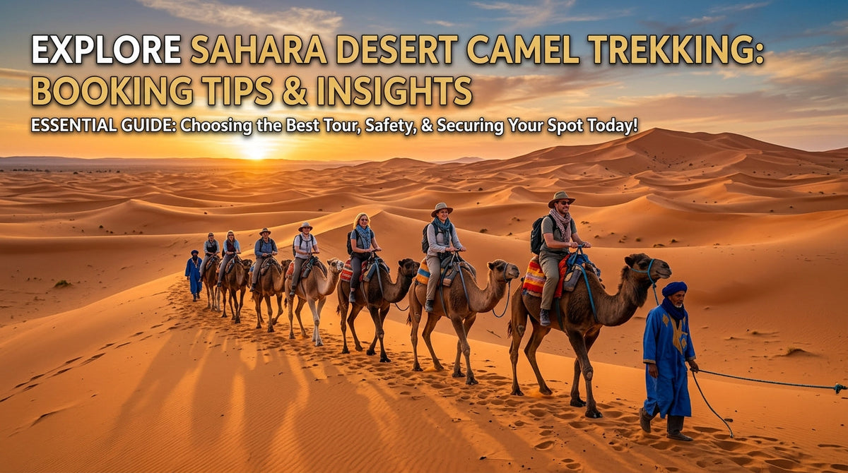 camel ride in the Merzouga Desert and Agafay Desert.