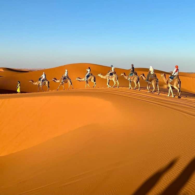 Camel Treks Across Erg Chebbi Sahara Desert Adventure