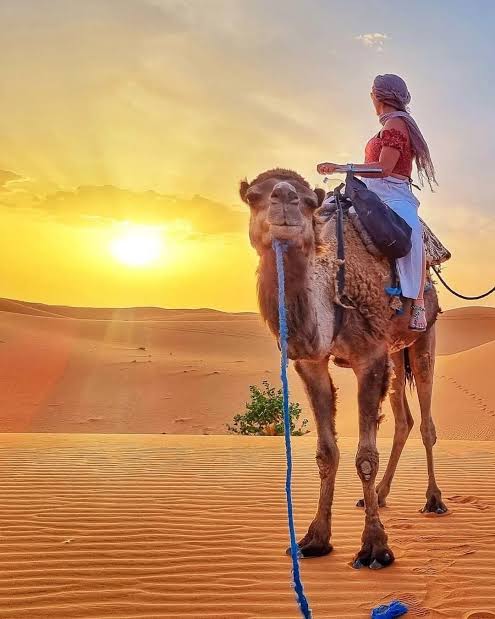 Camel Trekking in the Sahara Desert, Morocco