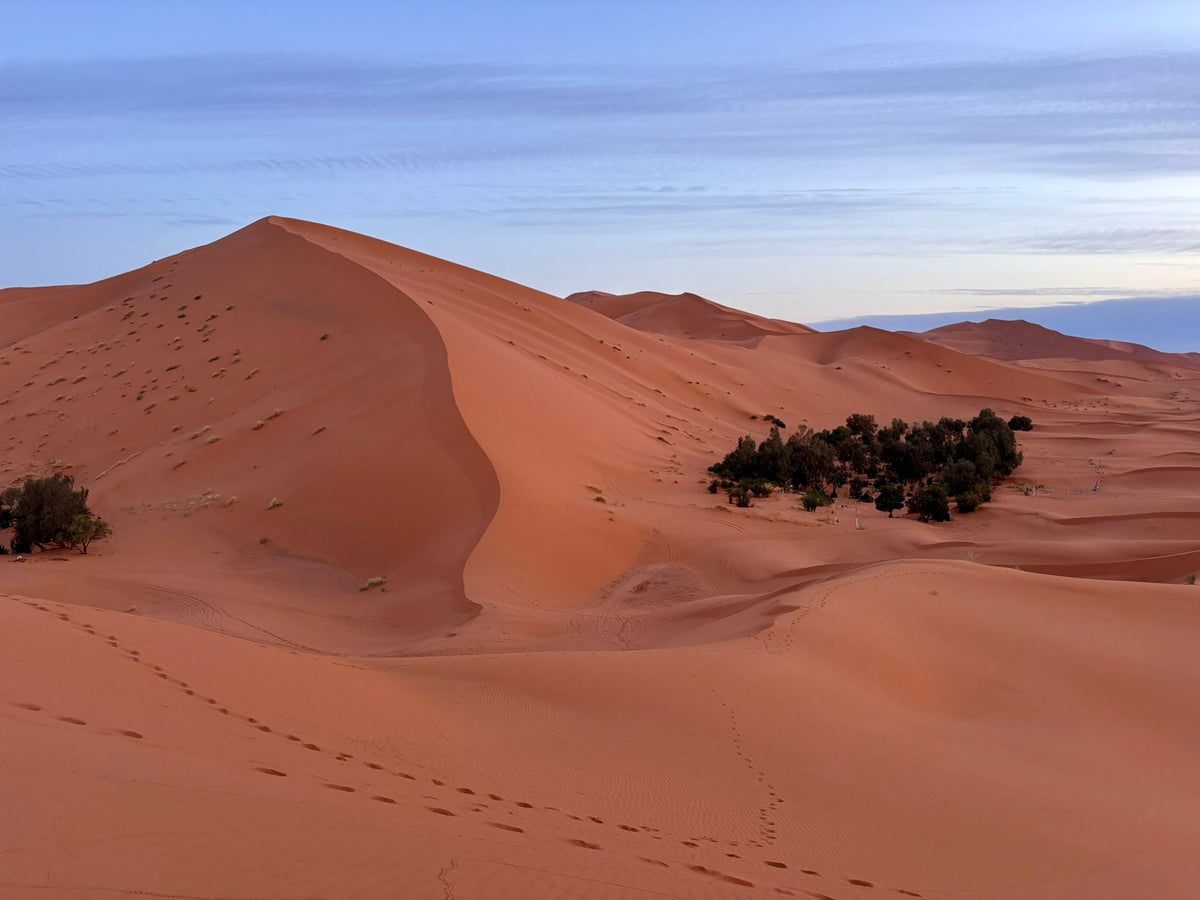 Morocco Sahara Exploration