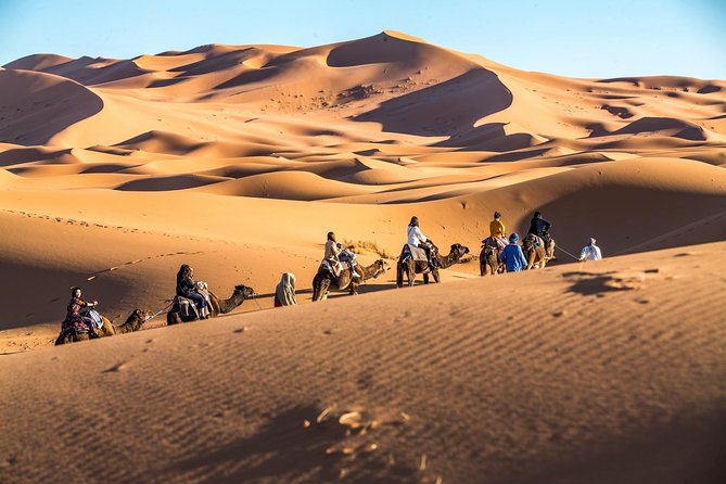 Morocco Desert Day Trip Discover the Magic of the Sahara