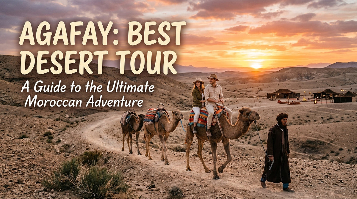 Agafay Desert Activities Camel Ride and Quad Biking
