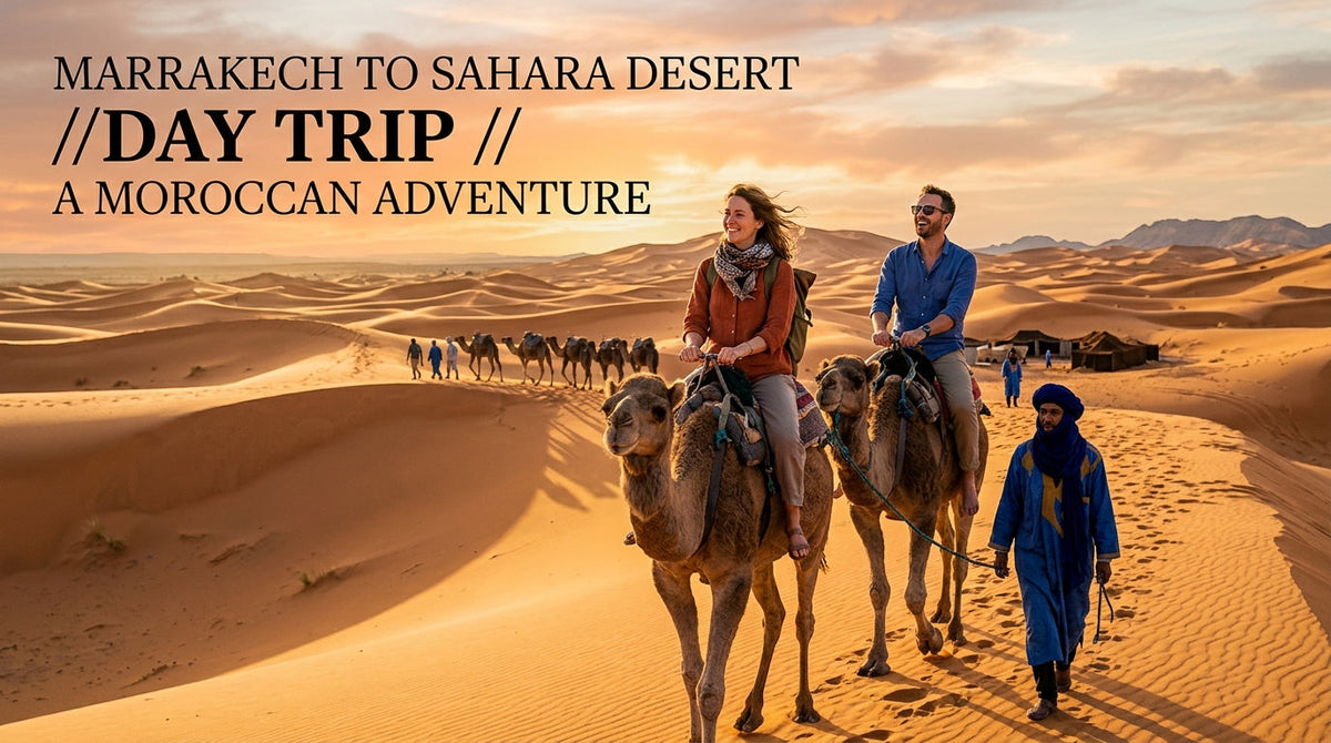 Your Ultimate Guide to Marrakech to Sahara Desert Day Trip - Marrakech to Sahara,Desert day trip