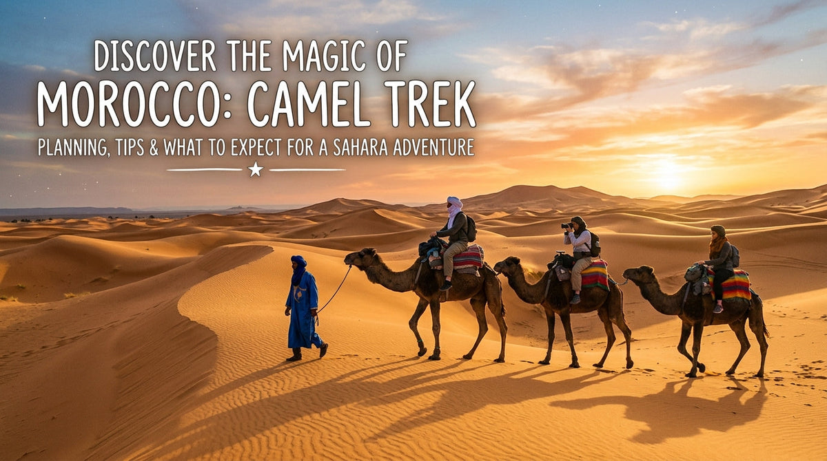 Ultimate Guide to Morocco Camel Trek: Experience the Magic of the Sahara - Morocco camel trek